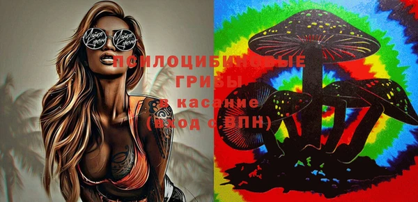 Альфа ПВП Покров