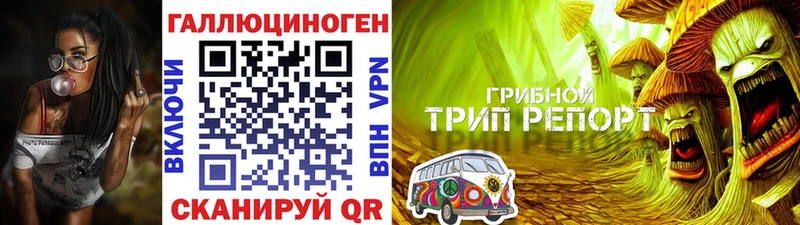 Псилоцибиновые грибы Psilocybine cubensis  блэк спрут как войти  Баймак 